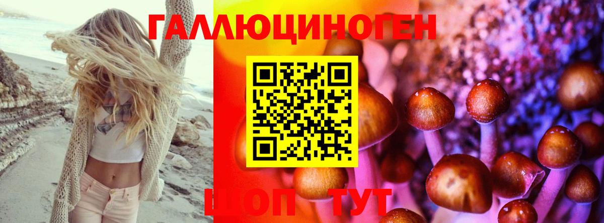 Галлюциногенные грибы GOLDEN TEACHER Семёнов